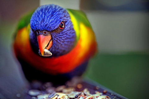 Condo 105 @ Horizons Golf Resort - Salamander Bay NSW - Accommodation in Surfers Paradise 19