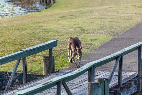 Condo 105 @ Horizons Golf Resort - Salamander Bay NSW - Accommodation in Surfers Paradise 11