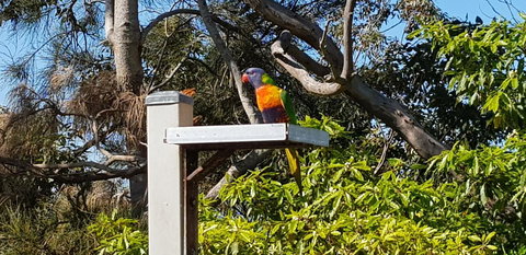 The Edgewater On Greville - Accommodation in Surfers Paradise 15