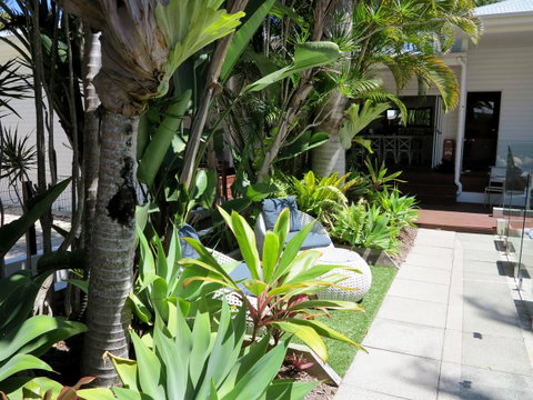 Cove Studios - Accommodation in Surfers Paradise 1