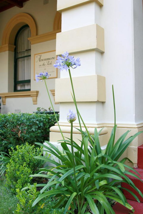 Avonmore On The Park Boutique Hotel - Accommodation in Surfers Paradise 15