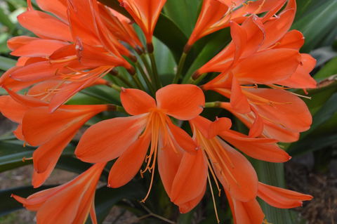 JE Guesthouse, Central To All The Hunter Valley Has To Offer - Accommodation in Surfers Paradise 39