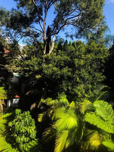 Woollahra Gem, Spectacular Views And Garden Paradise - Accommodation in Surfers Paradise 31