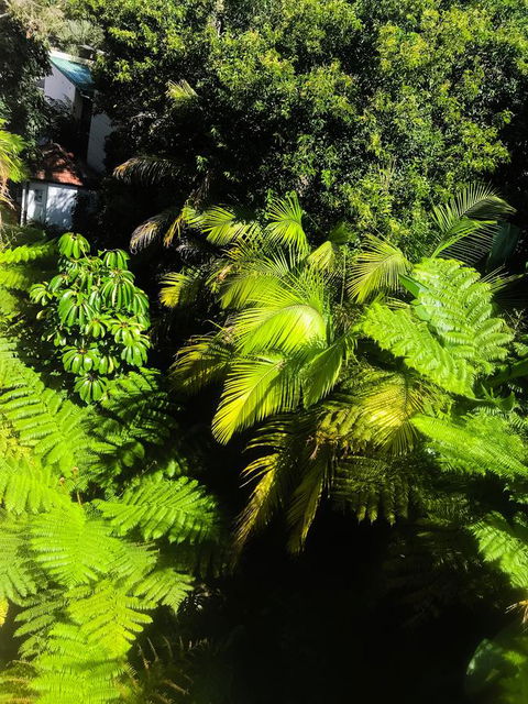 Woollahra Gem, Spectacular Views And Garden Paradise - Accommodation in Surfers Paradise 29