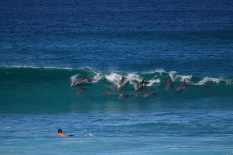 Hibiscus Motel - Accommodation in Surfers Paradise 21