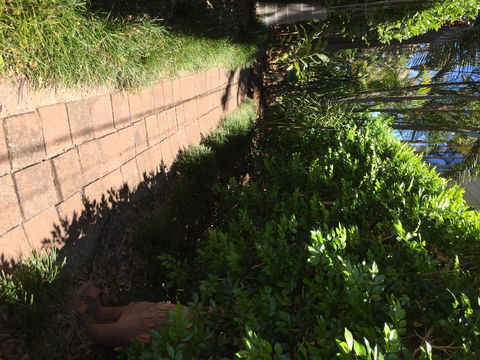 Swan Bay Hideaway - Accommodation in Surfers Paradise 6