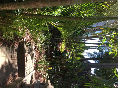 Swan Bay Hideaway - Accommodation in Surfers Paradise 9