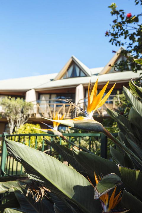 Beach Hotel Resort - Accommodation in Surfers Paradise 36