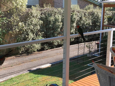 The Best Exotic Magnolia Cottage - Accommodation in Surfers Paradise 15