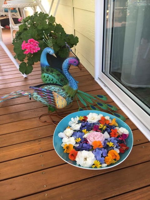 The Best Exotic Magnolia Cottage - Accommodation in Surfers Paradise 8