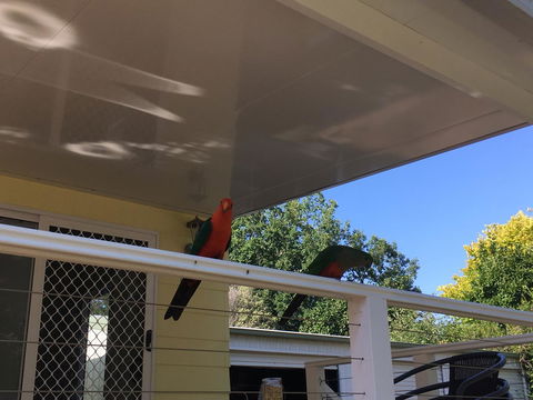 The Best Exotic Magnolia Cottage - Accommodation in Surfers Paradise 11
