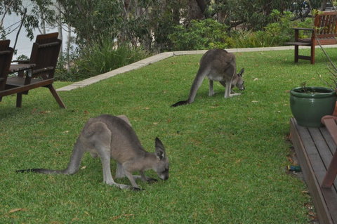 By The Beach B&B Self Contained Apartments - Accommodation in Surfers Paradise 28