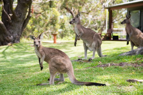 By The Beach B&B Self Contained Apartments - Accommodation in Surfers Paradise 16