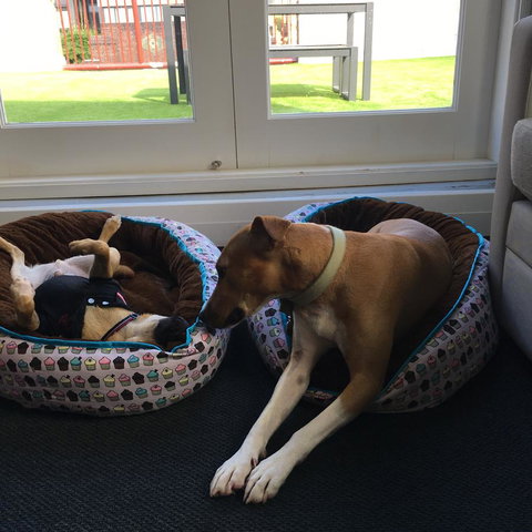 The Ultimo - Accommodation in Surfers Paradise 5