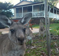 Bush  Bay Cottage - Accommodation in Surfers Paradise