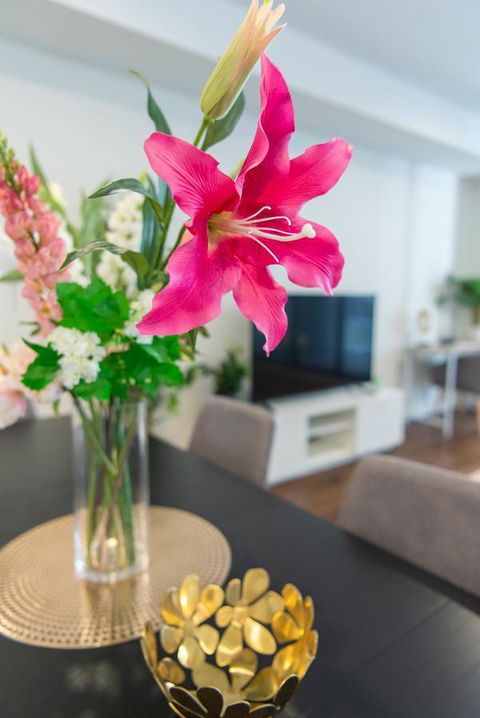 Sydney CBD Brand New Apartments With Hyde Park View - Accommodation in Surfers Paradise 6