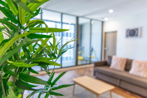 Sydney CBD Brand New Apartments With Hyde Park View - Accommodation in Surfers Paradise 5