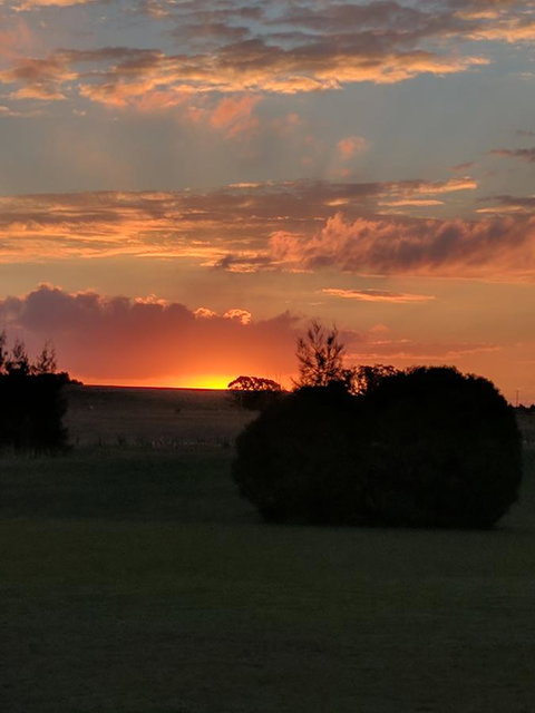 Madigan Wine Country Cottages - Accommodation in Surfers Paradise 13