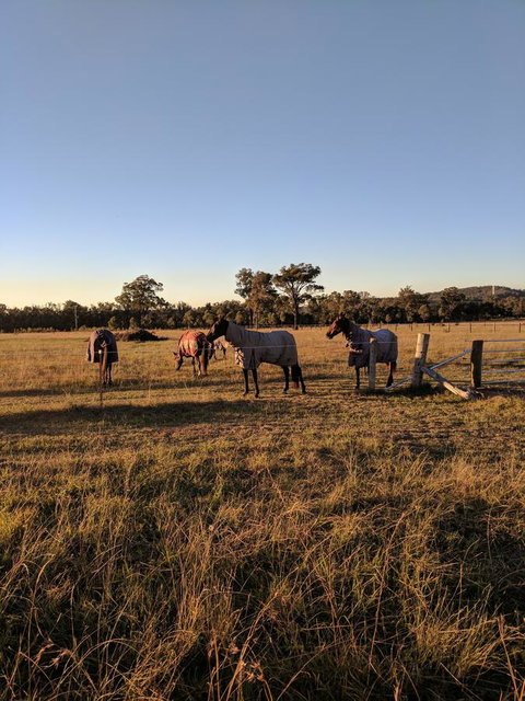 Madigan Wine Country Cottages - Accommodation in Surfers Paradise 8