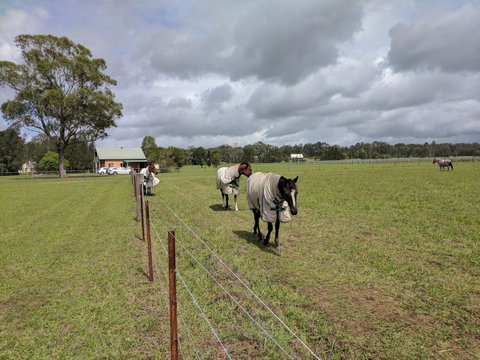Madigan Wine Country Cottages - Accommodation in Surfers Paradise 9