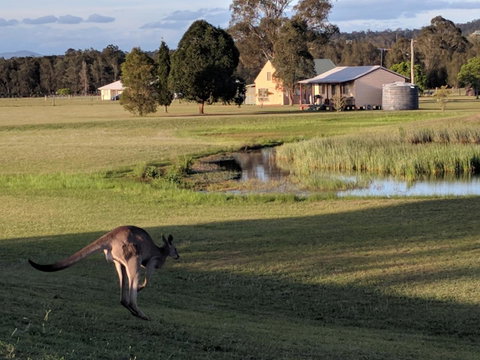 Madigan Wine Country Cottages - Accommodation in Surfers Paradise 6
