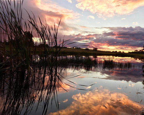 Madigan Wine Country Cottages - Accommodation in Surfers Paradise 16