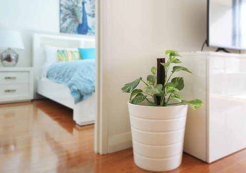 Sydney Apartment Close To Airport & CBD - Accommodation in Surfers Paradise 7