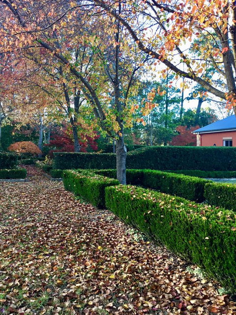 Chanticleer Gardens Barn Cottage With A Pool - Accommodation in Surfers Paradise 37