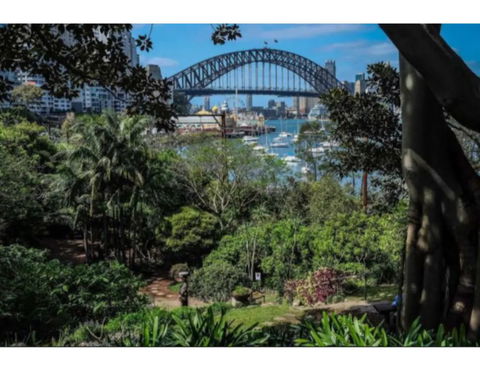 North Sydney Historic Whalers Cottage - Accommodation in Surfers Paradise 12