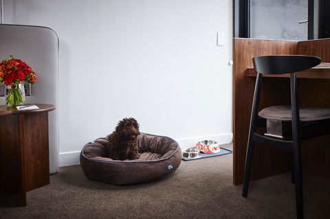 Hotel Indigo Sydney Potts Point, An IHG Hotel - Accommodation in Surfers Paradise 29