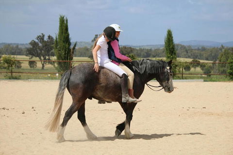 Belisi Farmstay Cottage - Accommodation in Surfers Paradise 28