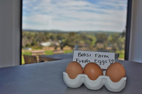 Belisi Farmstay Cottage - Accommodation in Surfers Paradise 20