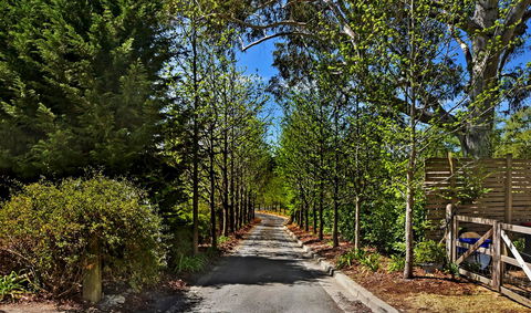 Bundanoon Lodge - Accommodation in Surfers Paradise 21