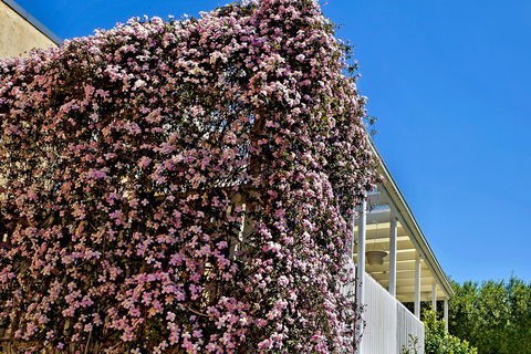 Bundanoon Lodge - Accommodation in Surfers Paradise 13
