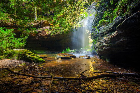 Sky Rider Motor Inn - Accommodation in Surfers Paradise 23