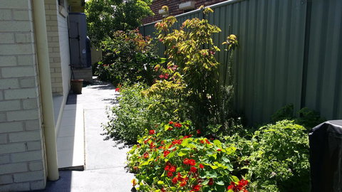 Sydney Amazing Holiday Home Bridal BnB - Accommodation in Surfers Paradise 41