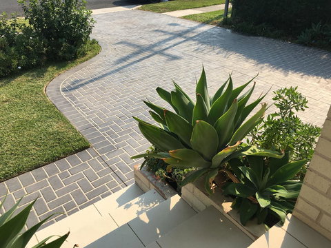 Sydney Amazing Holiday Home Bridal BnB - Accommodation in Surfers Paradise 22