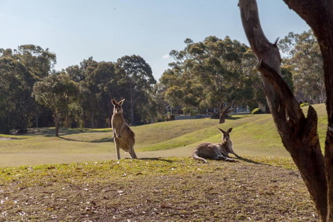 Horizons Retreat & Golf, Villa 133 - Accommodation in Surfers Paradise 18