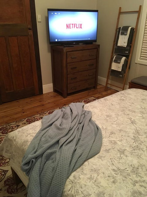 Caledonia Cottage - Accommodation in Surfers Paradise 22