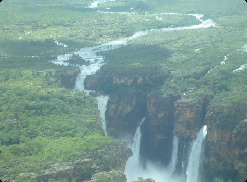 Mercure Kakadu Crocodile - Accommodation in Surfers Paradise 33