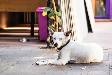 Jump Inn Alice Budget Accommodation - Accommodation in Surfers Paradise 43