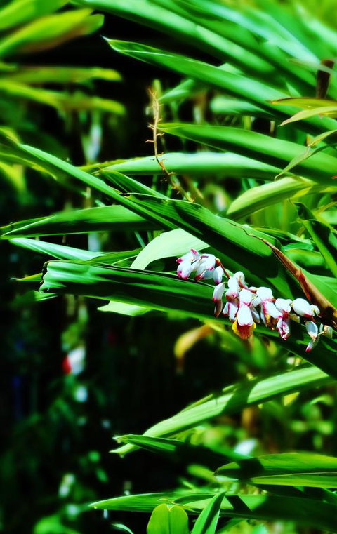 Palms City Resort - Accommodation in Surfers Paradise 11