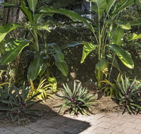 Nineteen on Nudl - Accommodation in Surfers Paradise