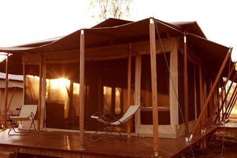 Wildman Wilderness Lodge - Accommodation in Surfers Paradise 6