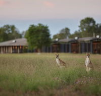 Wildman Wilderness Lodge - Accommodation in Surfers Paradise