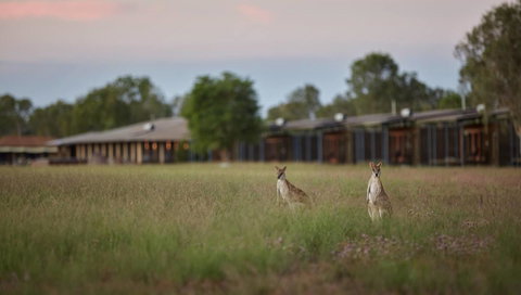 Wildman Wilderness Lodge - Accommodation in Surfers Paradise 0