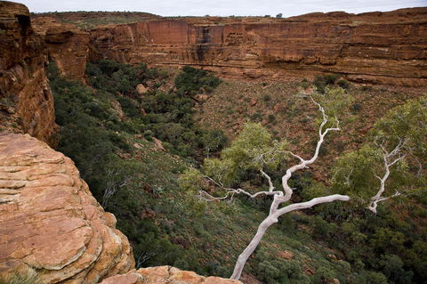 Kings Creek Station - Accommodation in Surfers Paradise 15