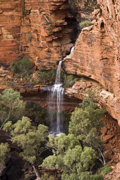 Kings Creek Station - Accommodation in Surfers Paradise 0