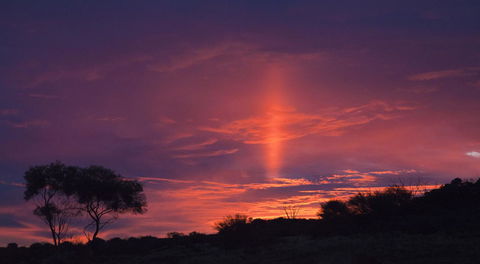 Kings Creek Station - Accommodation in Surfers Paradise 14
