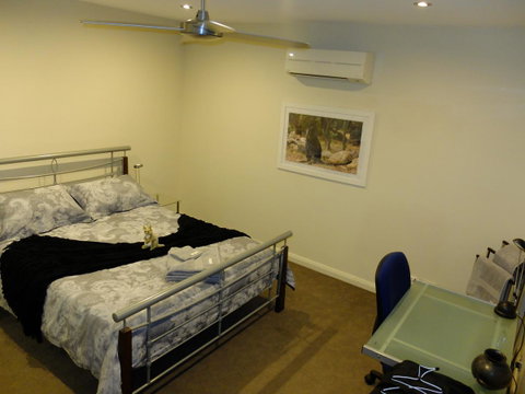 Rock Wallaby - Accommodation in Surfers Paradise 9
